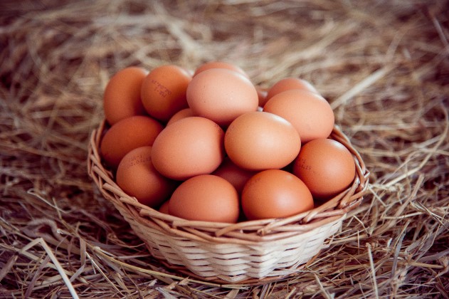 Multicoloured chicken eggs 'Fermerskiye'
