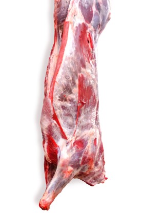 Beef half-carcass