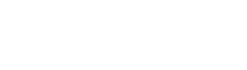 INN.Belarus_logo_white_horizon.png