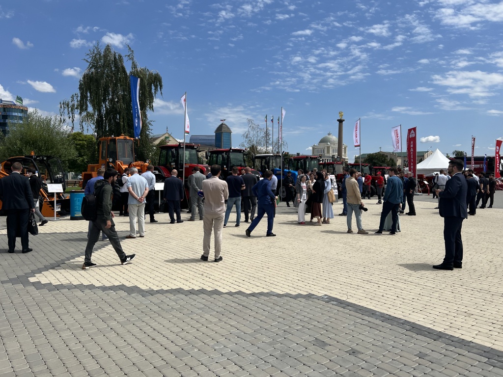 IMG_0416.jpg IMG_0416.jpg