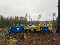 Команда «Белинтерэкспо» приняла участие в Республиканском субботнике