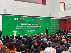 Пленарная сессия Евразийского межправительственного совета
